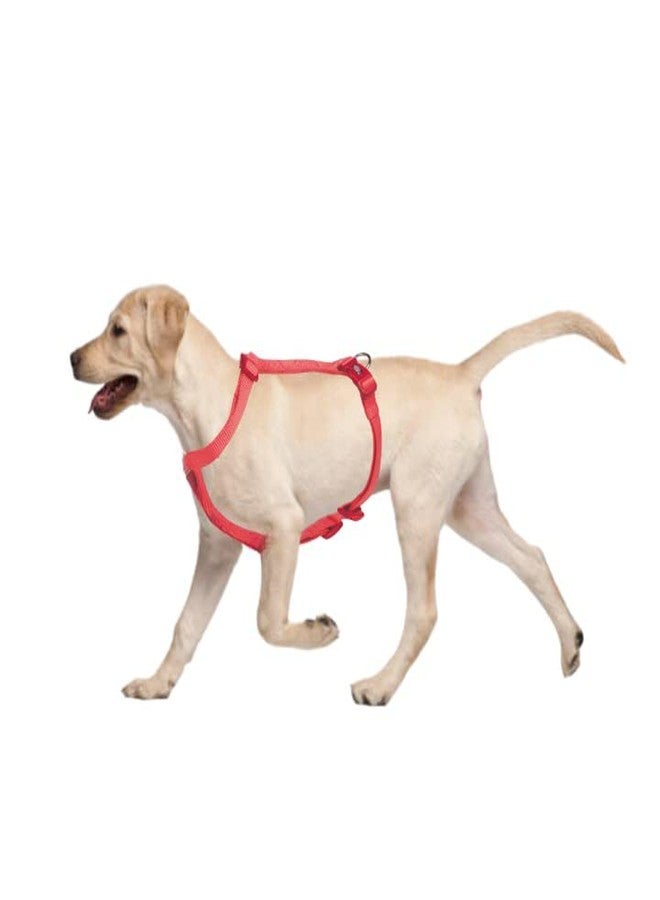 Trixie Premium Touring Harness for Dogs Made with Fleece Padding, Adjustable, and Lightweight Strong D-Ring Keeps The Harness and Leash in Place (S-M, Coral) - Image 4